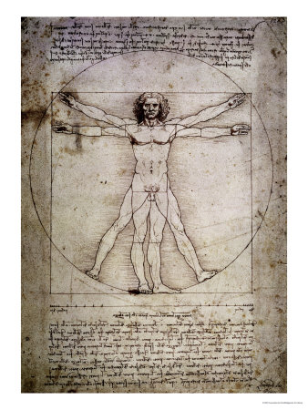 Vitruvian Man Da Vinci